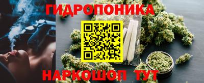 эйфоретик Новозыбков