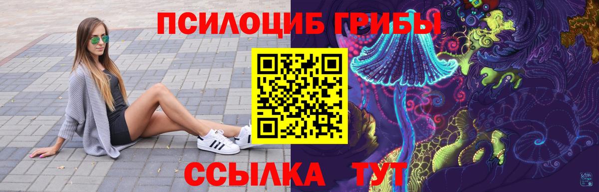 Галлюциногенные грибы Psilocybine cubensis  Вход с VPN  Шали 